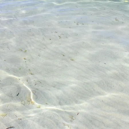 Apartment Rivabella D *