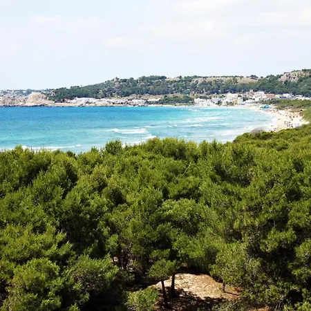 Apartment Rivabella D