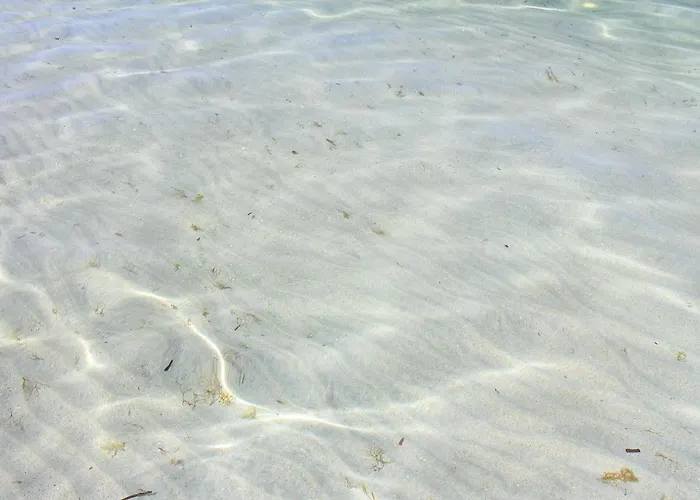 Apartamento Rivabella D *