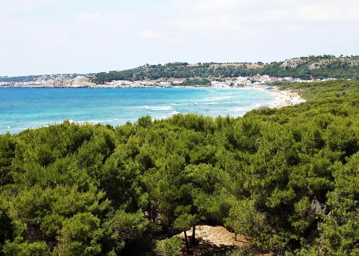 Apartment Rivabella D